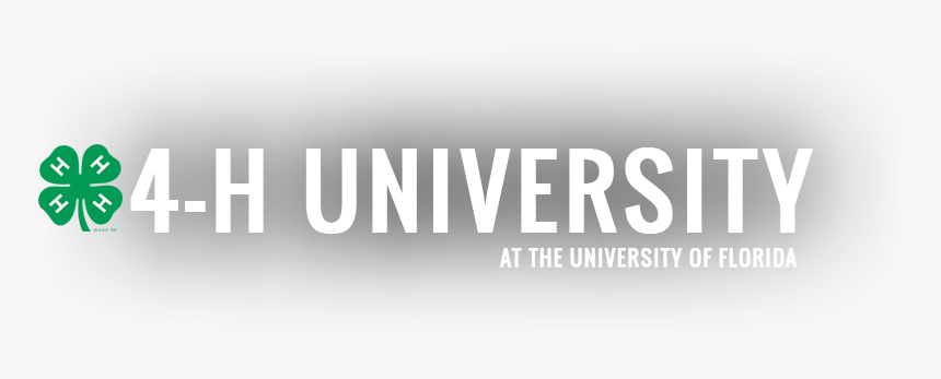 4h University - 4 H Clover, HD Png Download