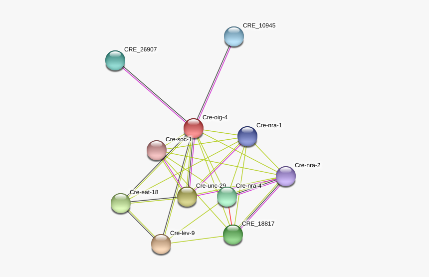 Cre Oig 4 Protein - Circle, HD Png Download