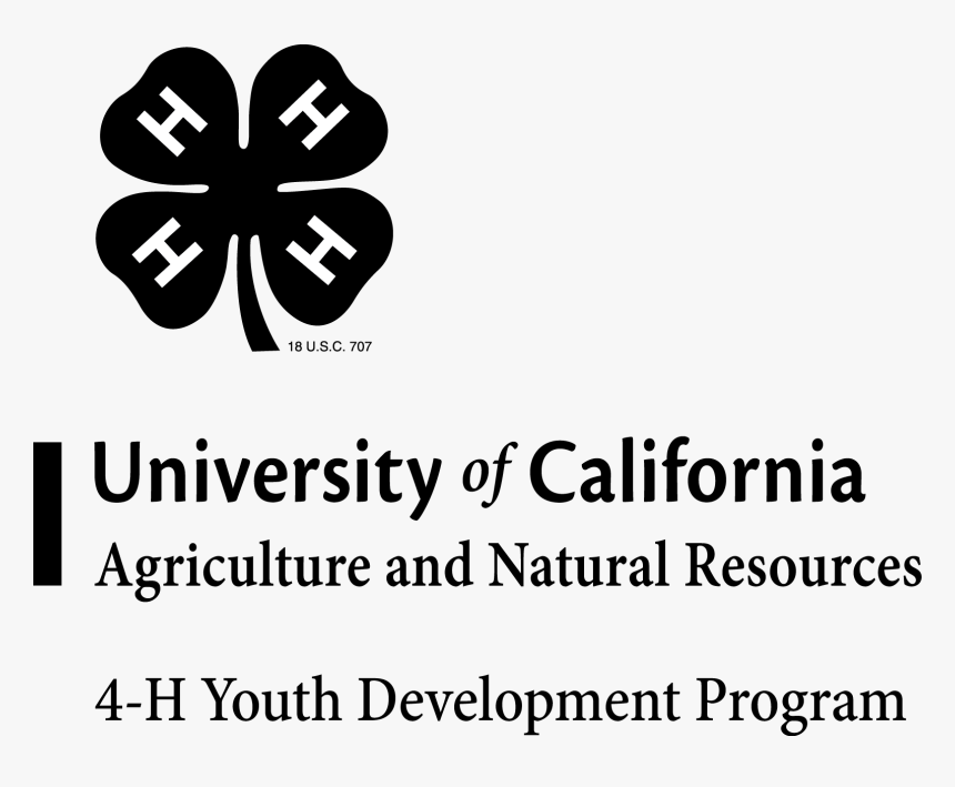 4 H Clover, HD Png Download