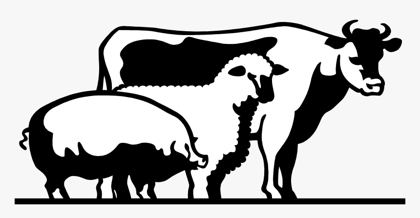 4 H Livestock Of Clipart - Livestock Clipart, HD Png Download