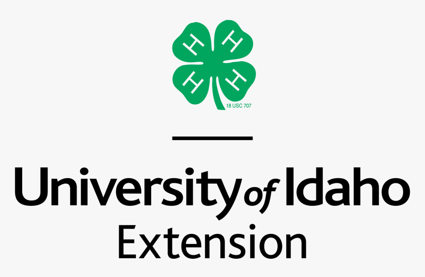 Shamrock, HD Png Download