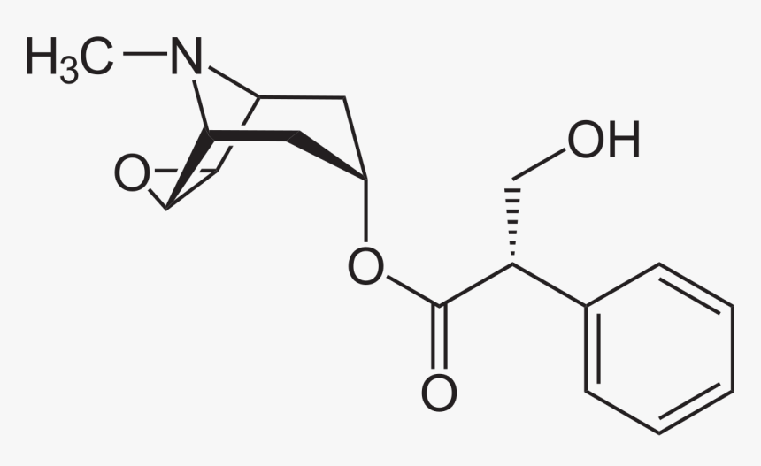 Scopolamine Chemical Structure, HD Png Download