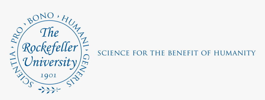 Miss Universe, HD Png Download