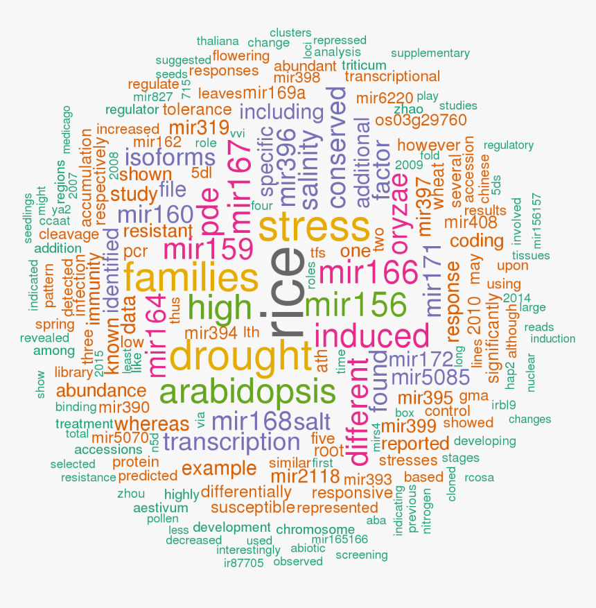 Hsa Mir 335 5p, HD Png Download