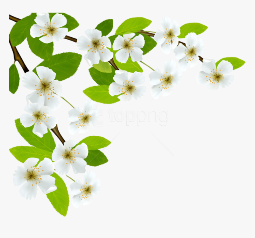 Free Png Download White Spring Branch Png Images Background - Good Morning Quotes On Respect, Transparent Png