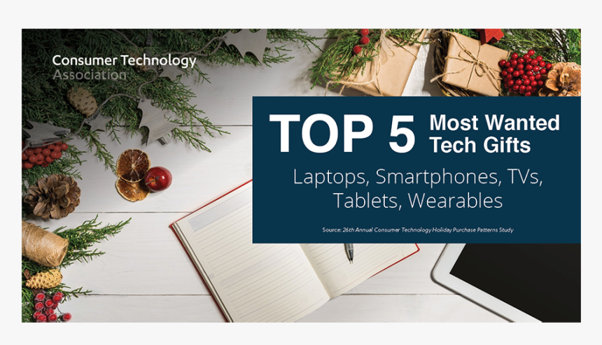 Shortleaf Black Spruce, HD Png Download