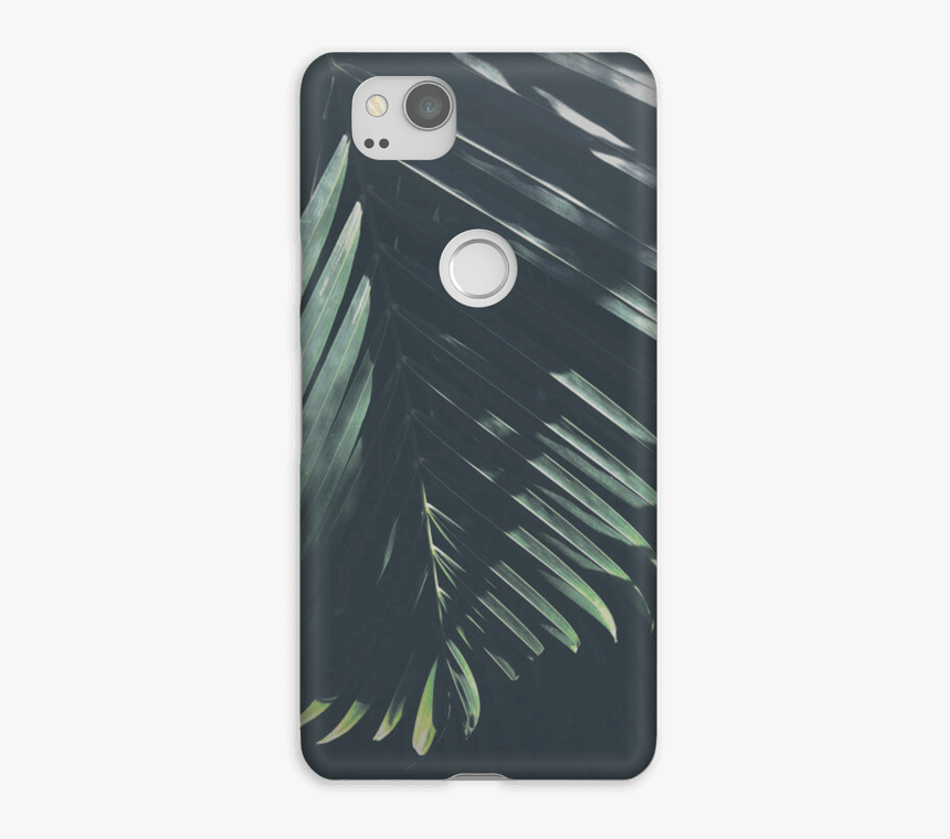 Palm Tree Sunshine - Iphone, HD Png Download