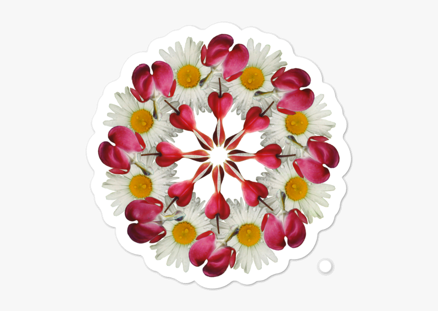 Hoodie, HD Png Download