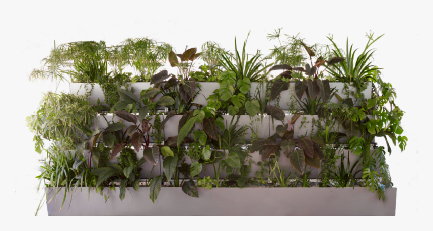 Verteco - Houseplant, HD Png Download