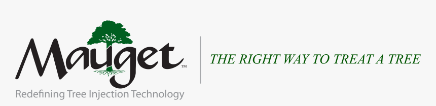 Calligraphy, HD Png Download