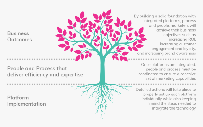 Tree 01 - Barker Family Band Album, HD Png Download