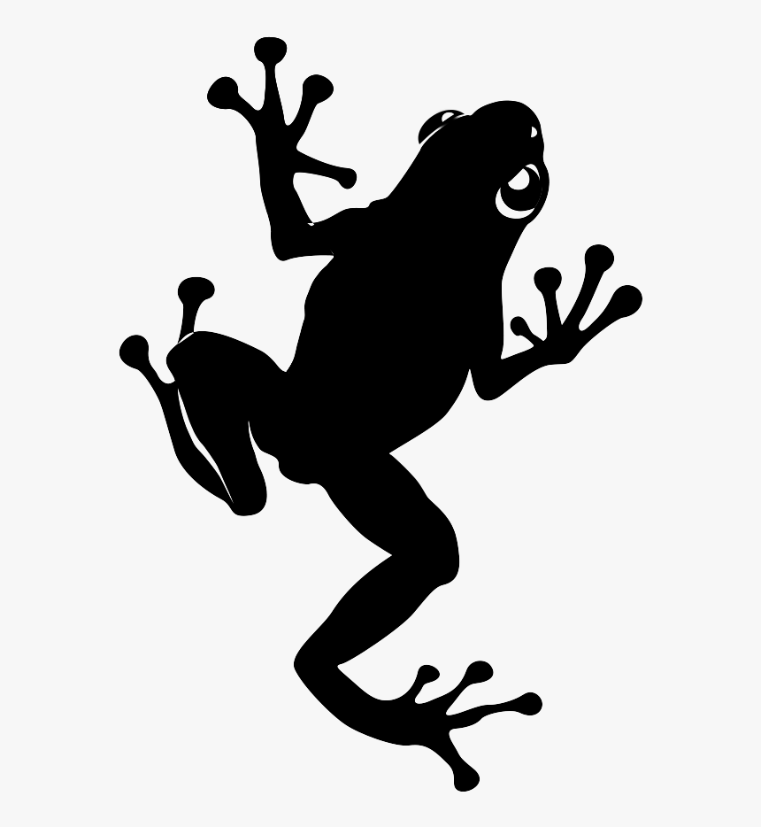 Cropped 48412937 1070201693151715 2213861293817856000 - True Frog, HD Png Download