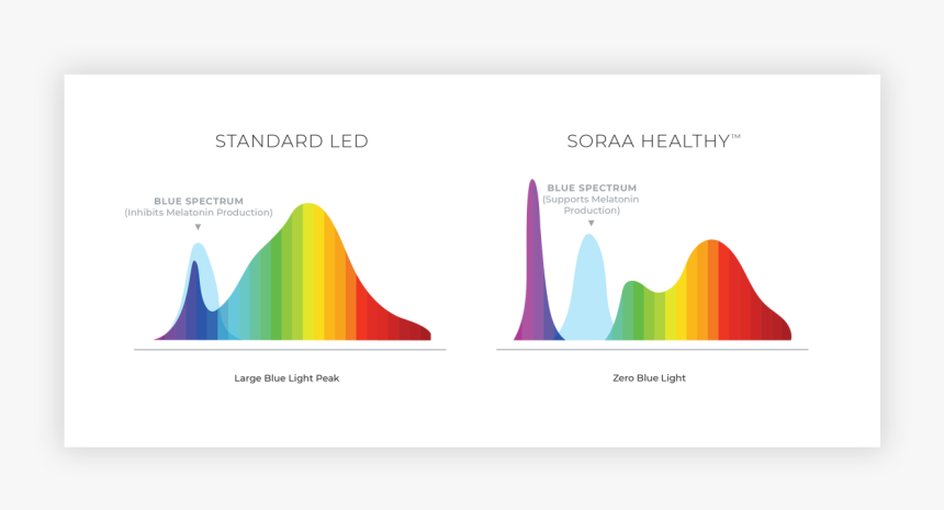 Chart - Plot, HD Png Download