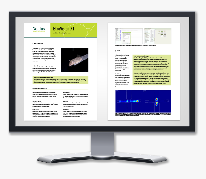 Computer Monitor, HD Png Download