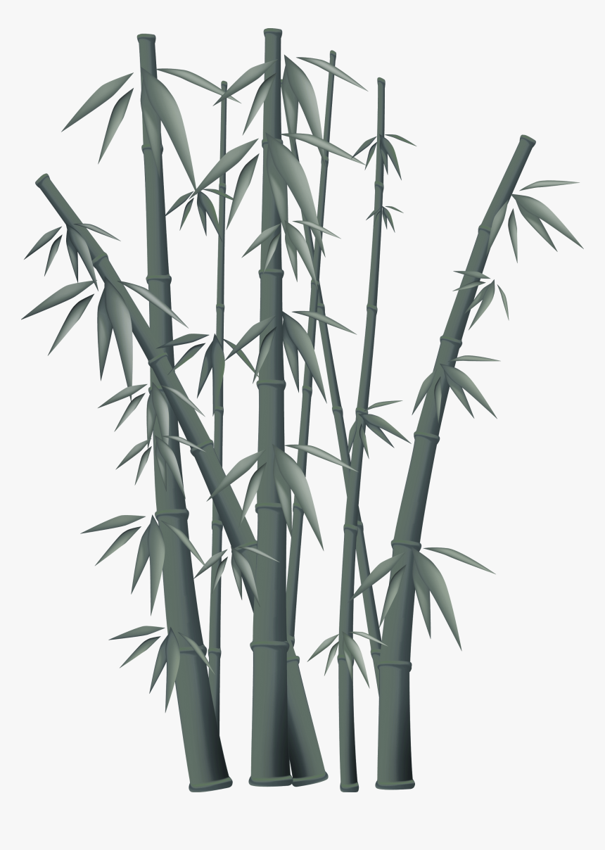 Bamboo Free Content Clip Art - Kung Fu Panda Bamboo, HD Png Download
