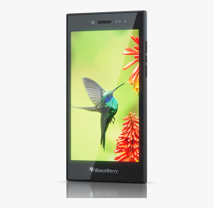 Blackberry Leap - Blackberry Leap Price, HD Png Download