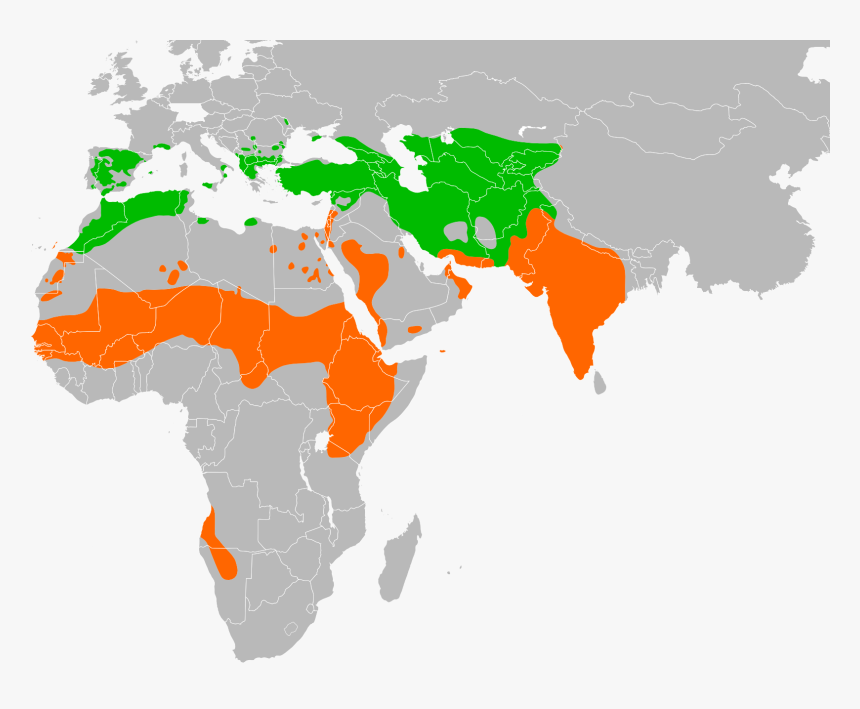 Neophron Percnopterus Distribution - India To Oman Map, HD Png Download
