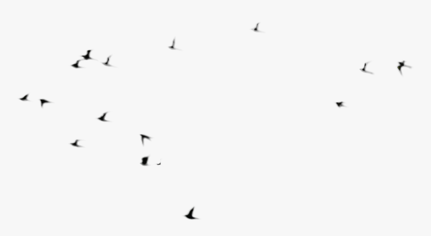 Birds And Animals By Annamae22 On Clipart Library - Flock Of Birds Psd, HD Png Download