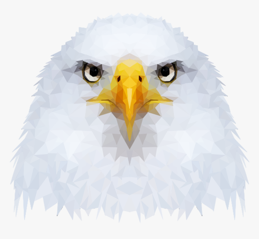 Bald Eagle, HD Png Download