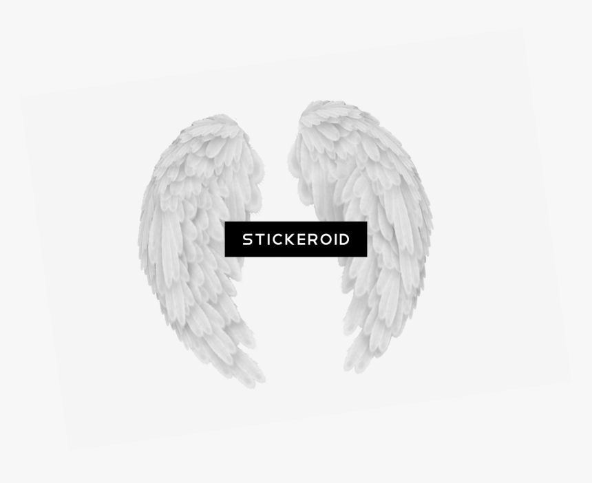 More Pankh Png - Angel Wings, Transparent Png