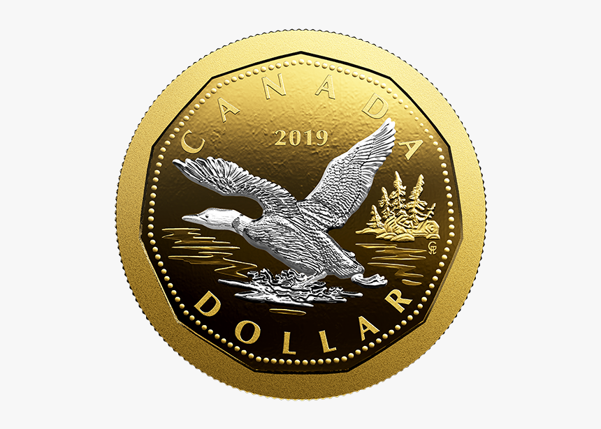New Canadian Loonie 2019, HD Png Download