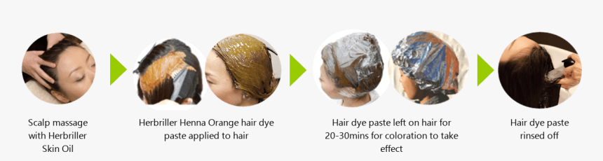 Girl, HD Png Download