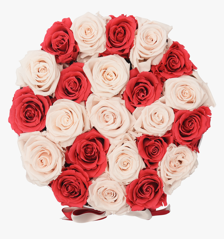 Shades Of Pink Roses 
 Class Lazyload Lazyload Fade - Garden Roses, HD Png Download