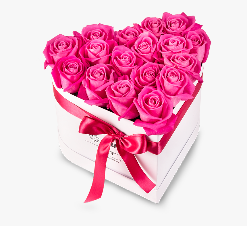 Garden Roses, HD Png Download
