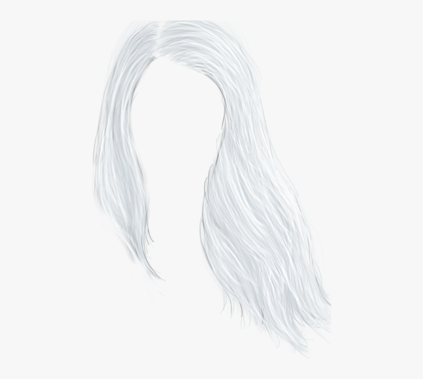 Sketch, HD Png Download