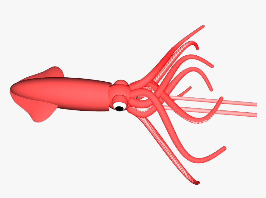 Squid Png - Colossal Squid, Transparent Png
