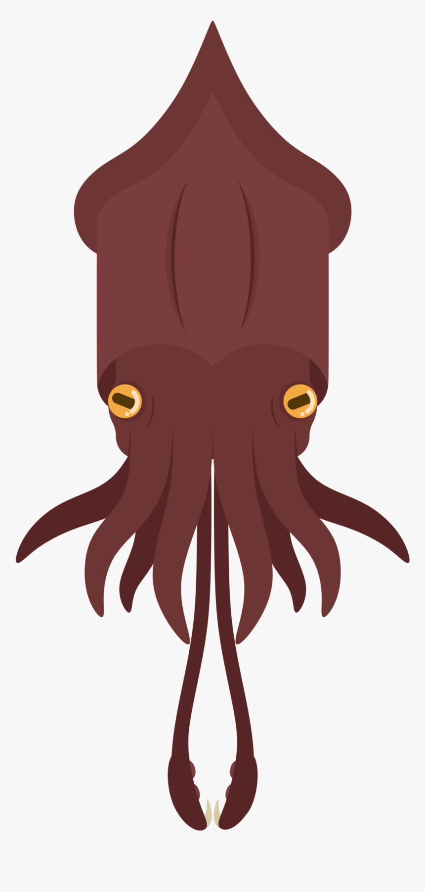 Animal[animal] Colossal Squid - Cartoon, HD Png Download