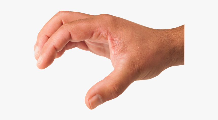 Hand Png, Transparent Png