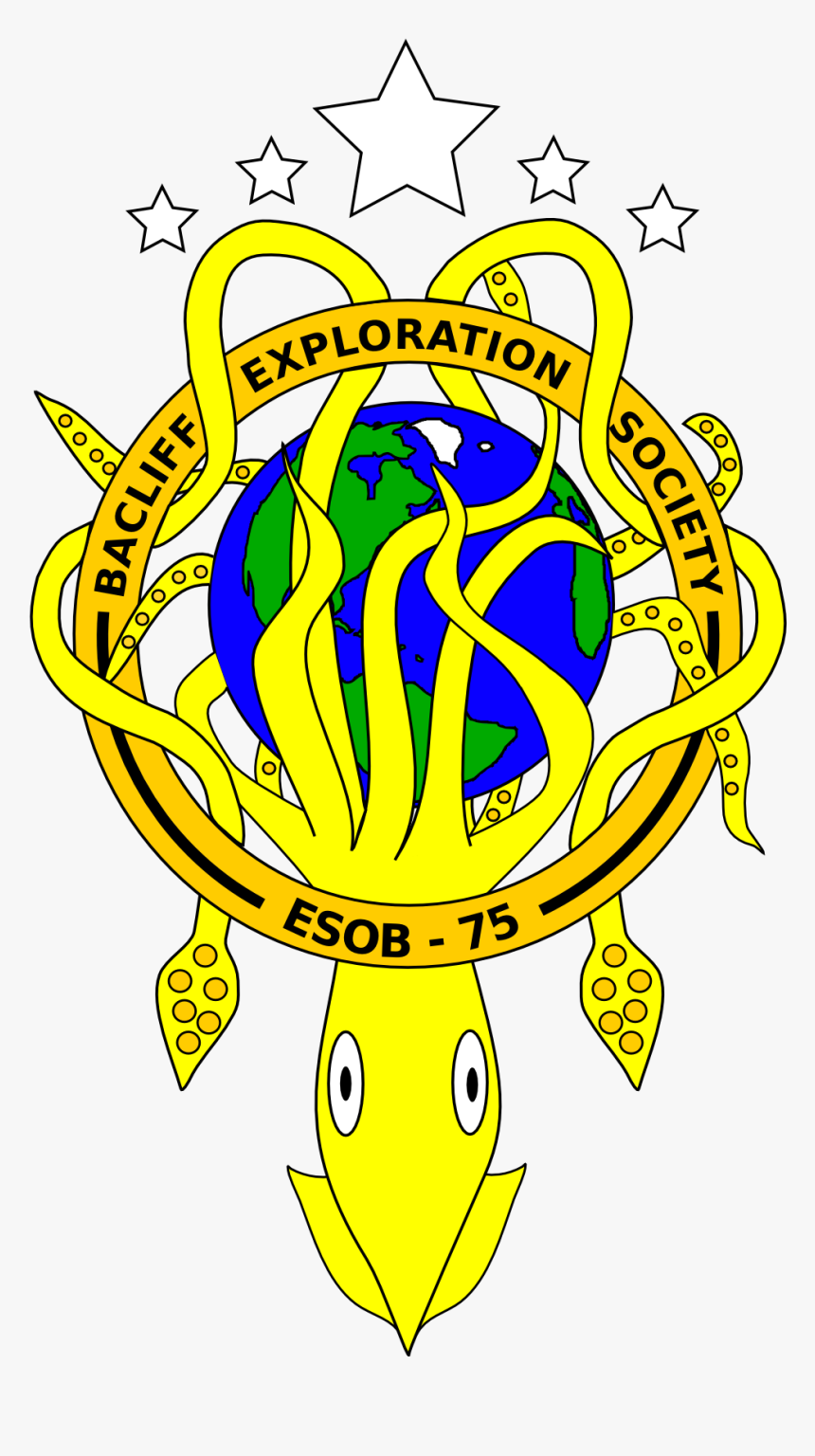 Squid, HD Png Download