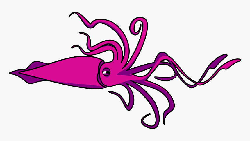 Png Download , Png Download - Mollusca Segmentation, Transparent Png