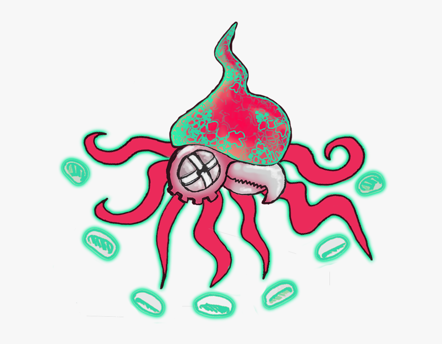 Squid 1 - Squid, HD Png Download