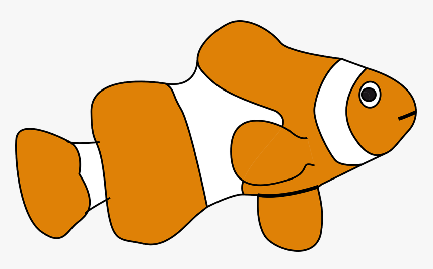 Clownfish Clipart, HD Png Download
