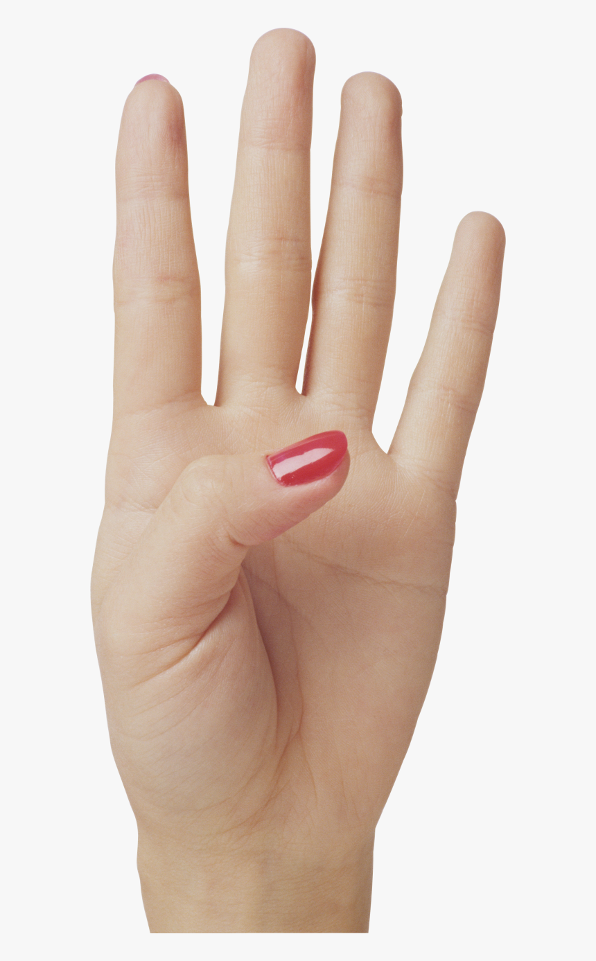 Hands Png Free Image Download - 4 Finger Png, Transparent Png