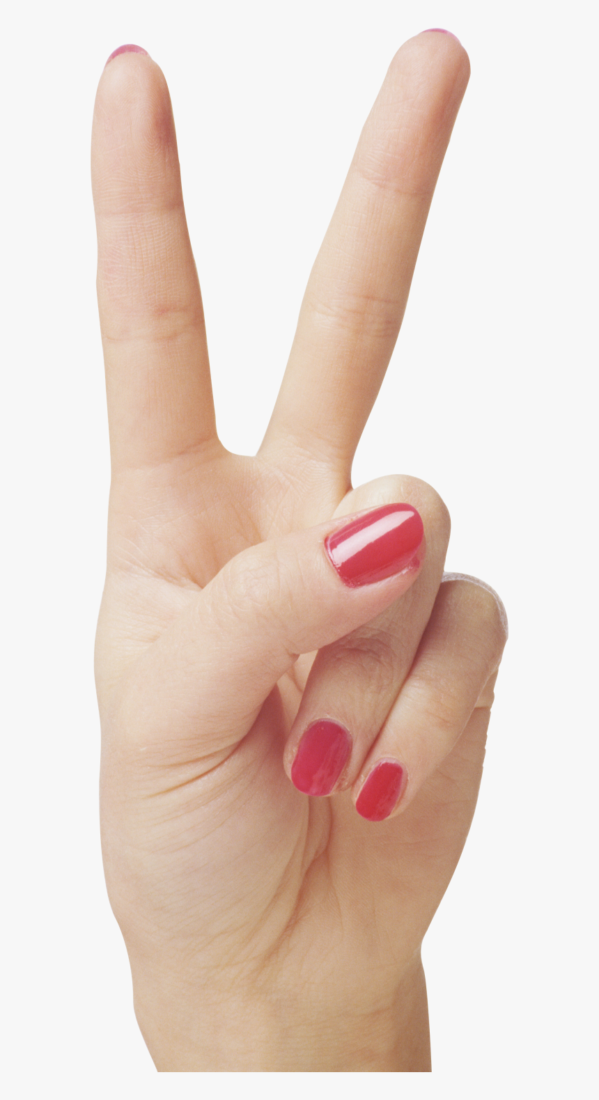 Hands Png Free Image Download, Transparent Png