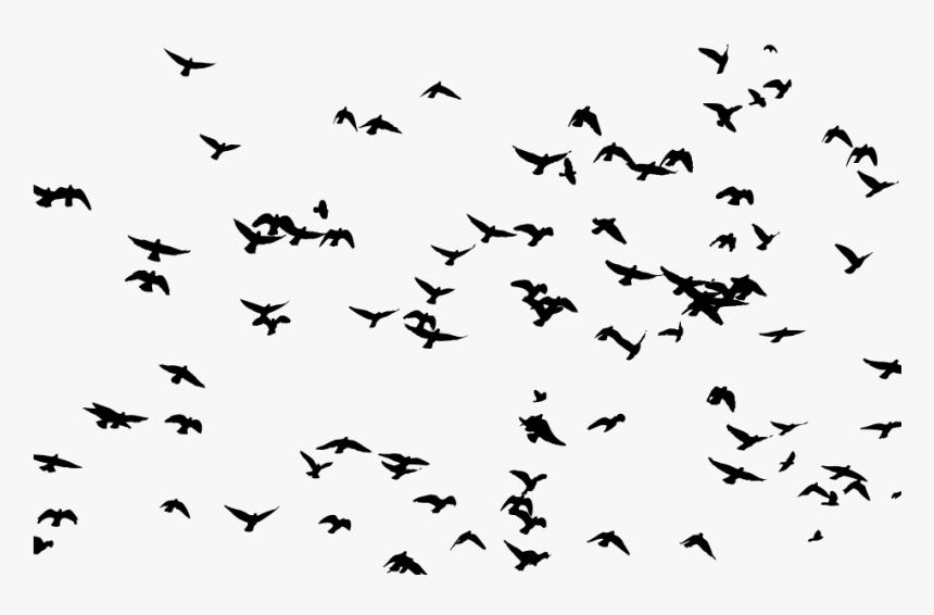 Bird Flight Flock Bird Flight Clip Art, HD Png Download