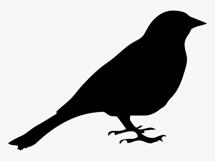 Bird Silhouette, HD Png Download