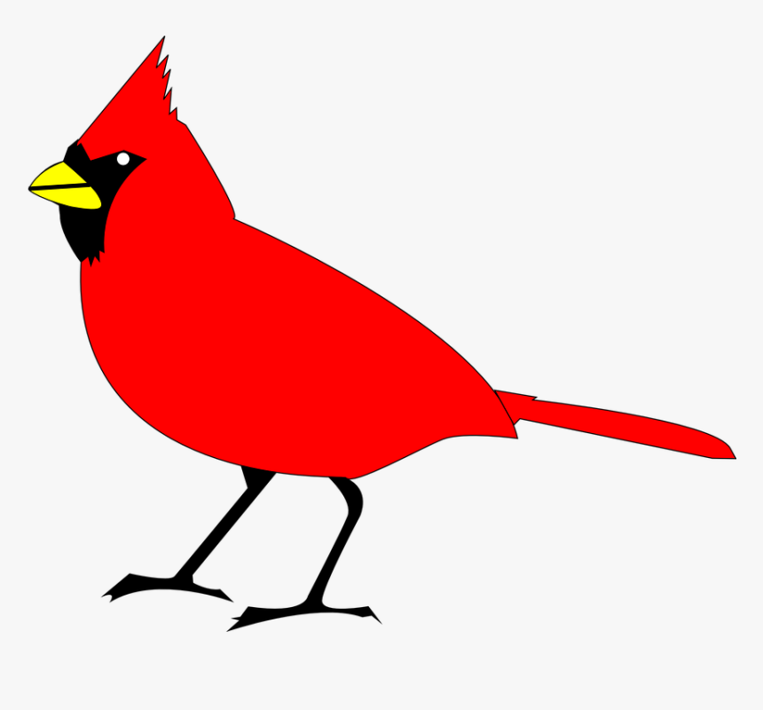 Northern Cardinal Png And Psd Free Download Winter, Transparent Png