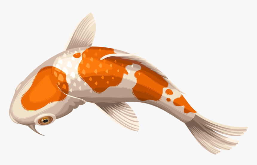 Koi Fish Tattoo Png, Transparent Png