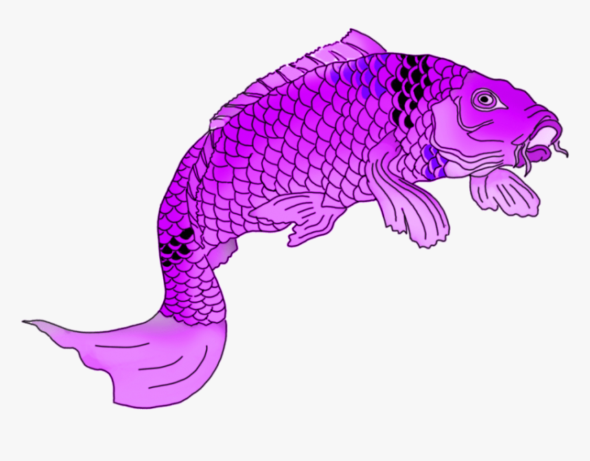 Koi Fish Png, Transparent Png