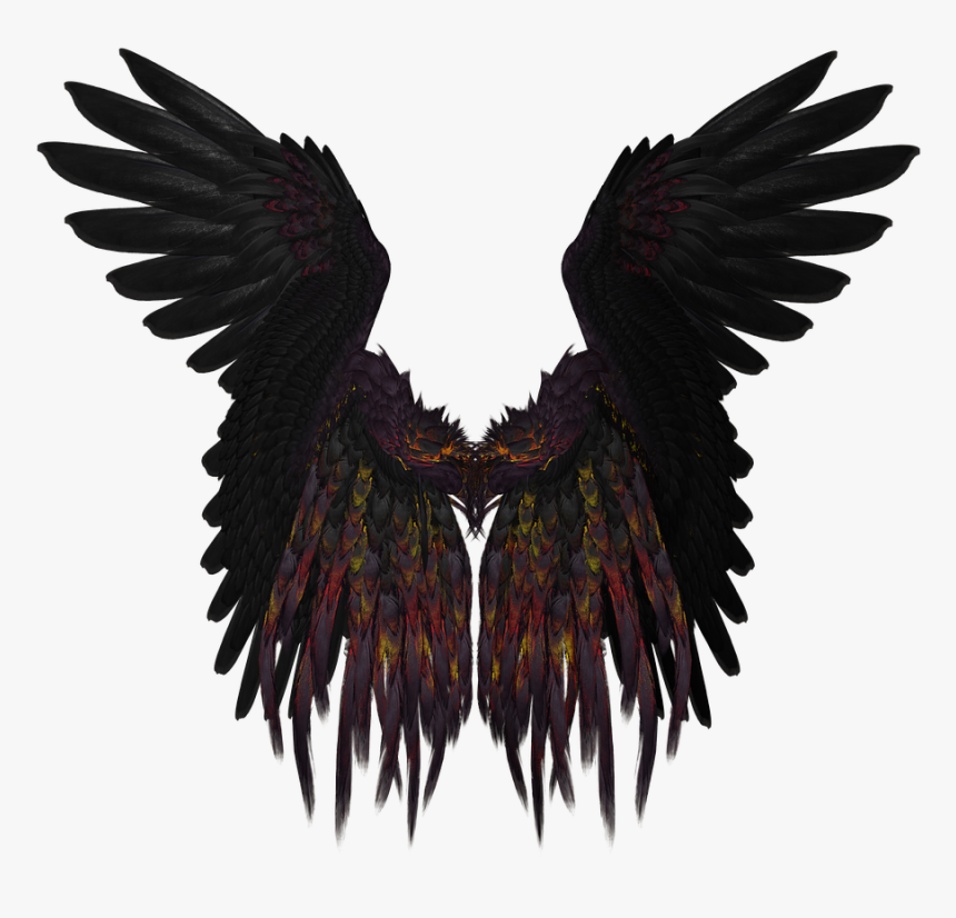 Isolated Birds Png, Transparent Png