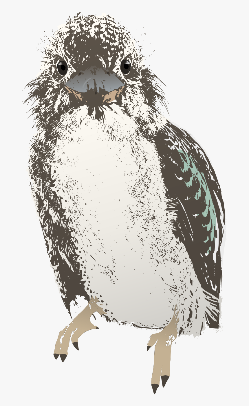 Isolated Birds Png, Transparent Png