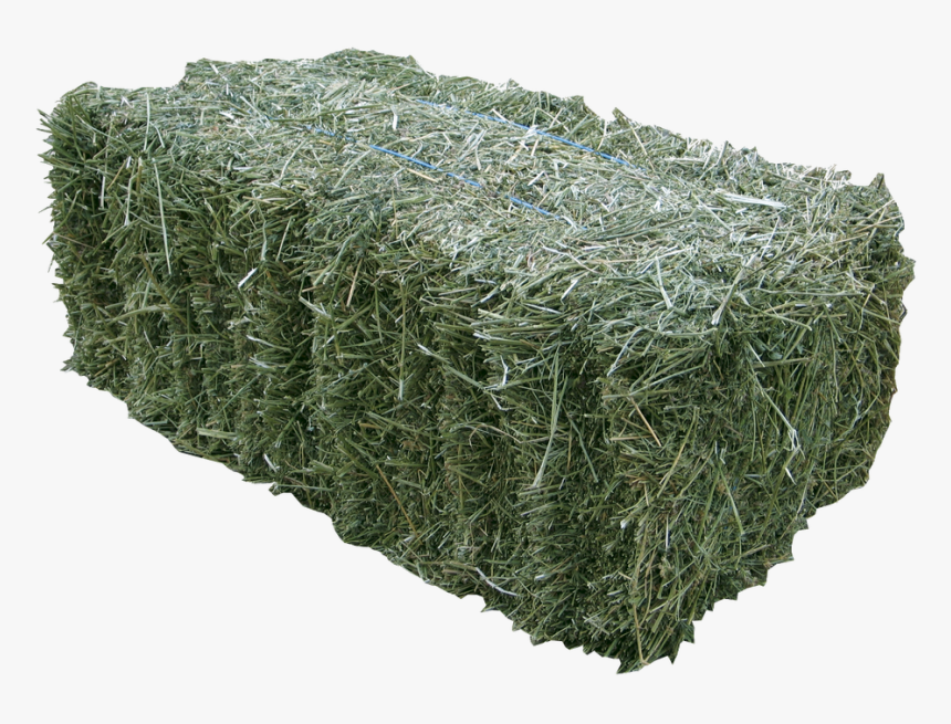 Picture, HD Png Download