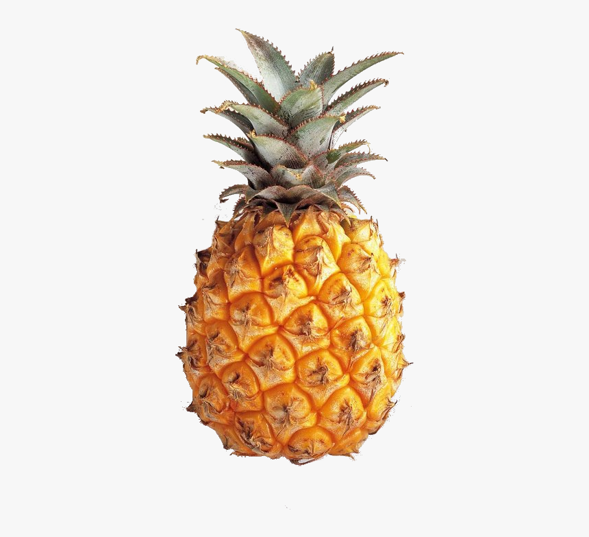 Transparent Pineapple Tumblr, HD Png Download