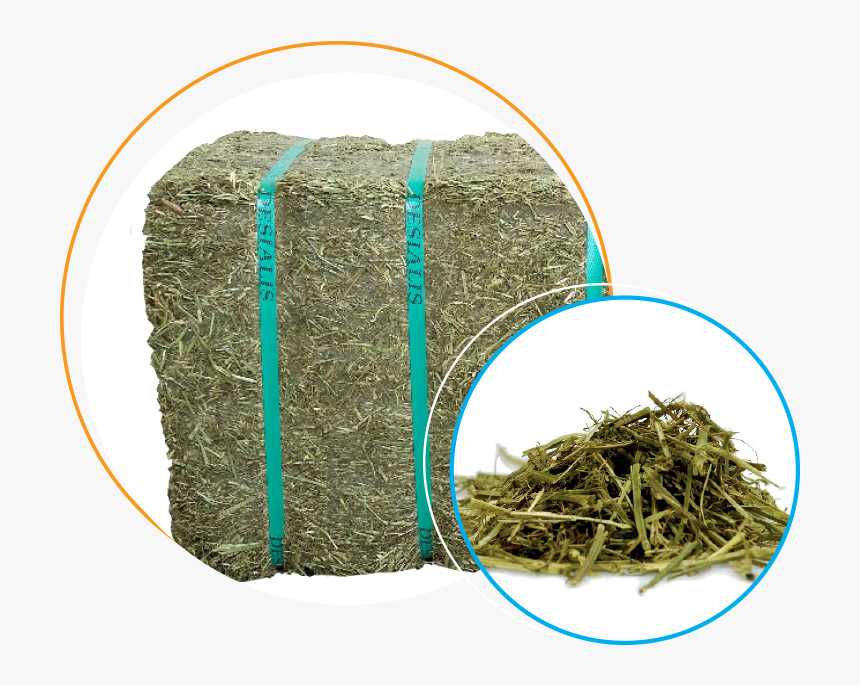 Packed In Bagged Small Bales Of 20 Kg, The Alfalfa, HD Png Download