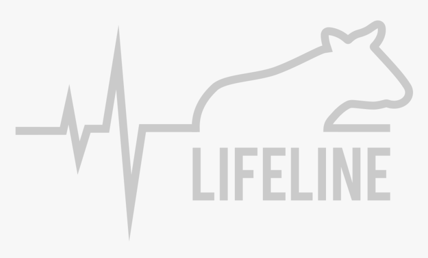 Attitude Quotes Png, Transparent Png