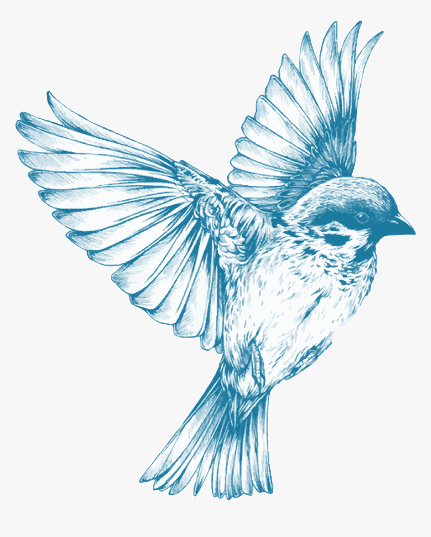 Vintage Blue Bird, HD Png Download